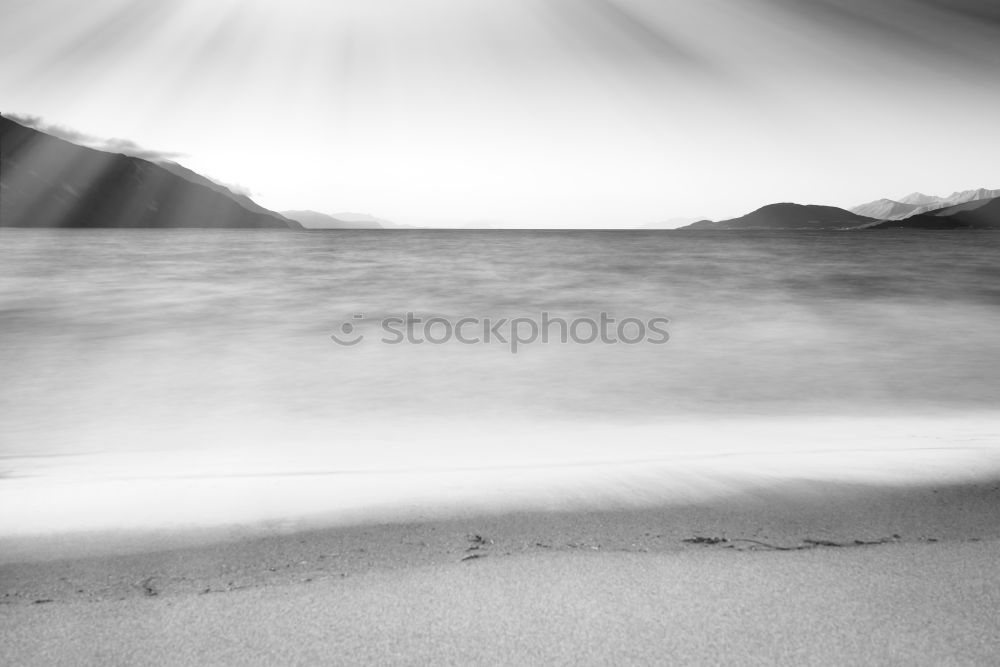 Image, Stock Photo Mussel on the beach Beach