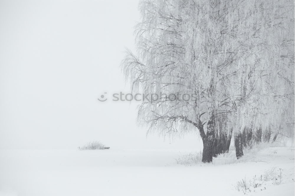 Similar – Image, Stock Photo hibernation Lake Water