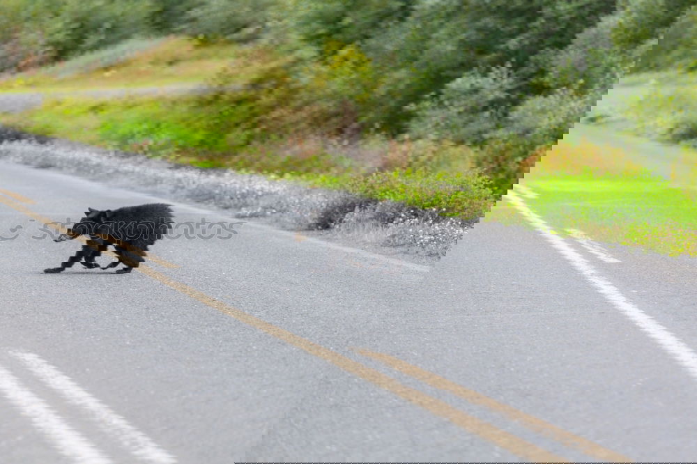 Similar – Foto Bild Road Trip Umwelt Natur