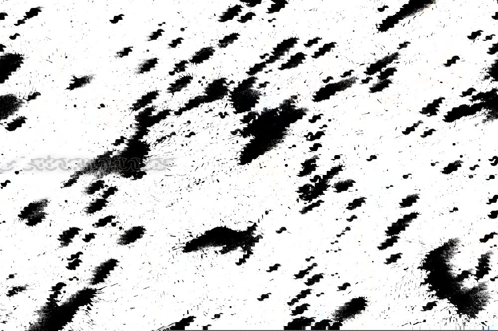 Similar – Foto Bild Vollversammlung unter zerplatzenden Luftschlössern