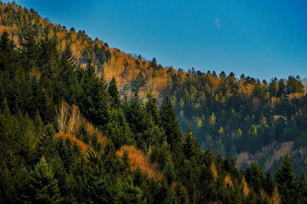 Similar – fog Nature Landscape