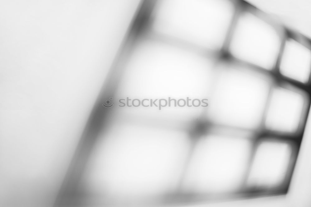 Similar – Image, Stock Photo Stylish young woman in cafe