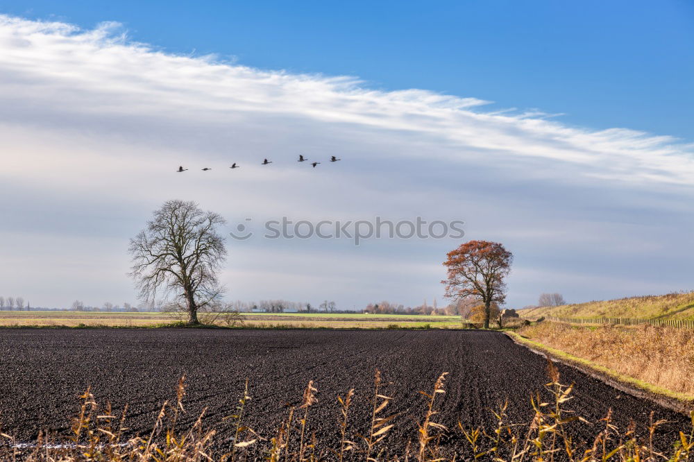 Similar – praise of God Sky Clouds