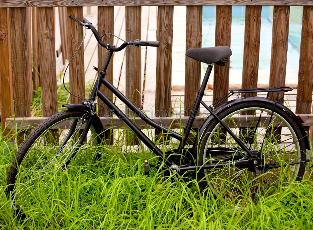 Similar – Rainbow bicycle chained