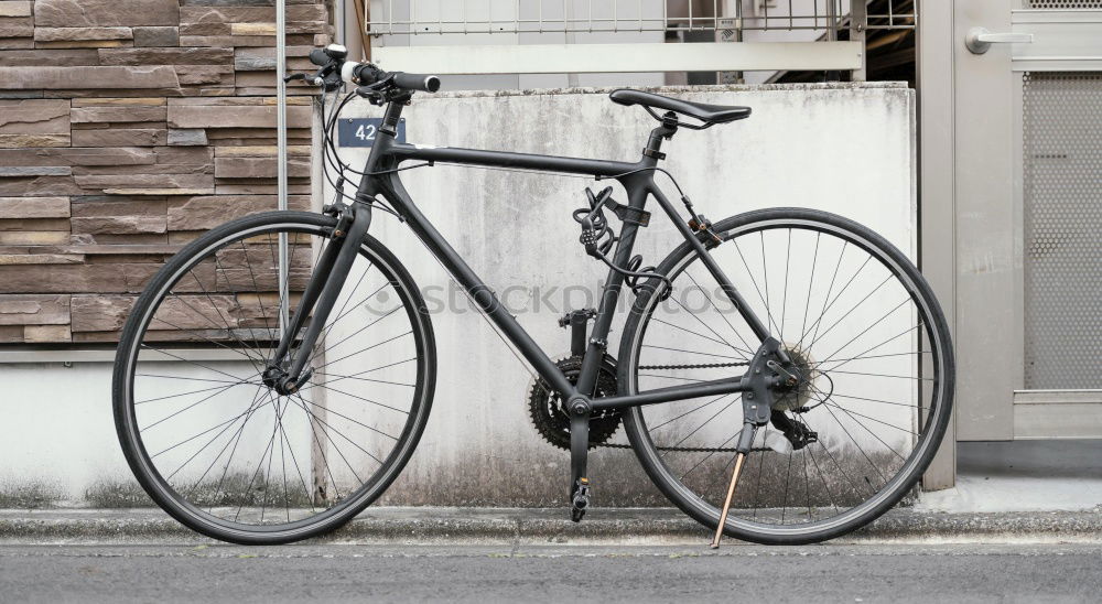 Similar – Image, Stock Photo Old ladies bike in summer in front of a green hedge on grey compound pavement in Oerlinghausen near Bielefeld in the Teutoburg Forest in East Westphalia-Lippe