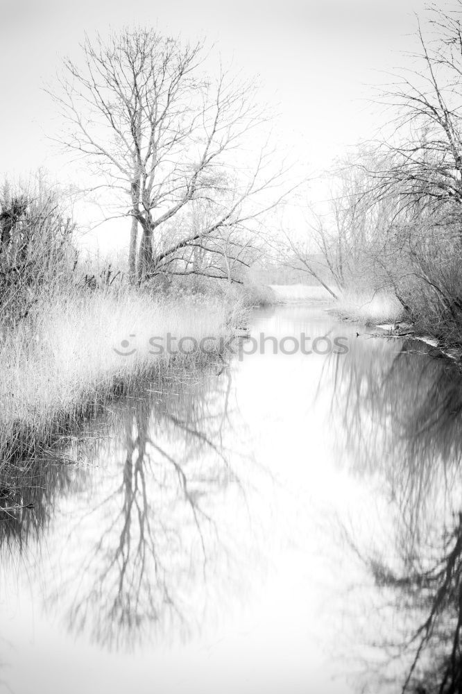 Similar – Foto Bild Herbst Umwelt Natur