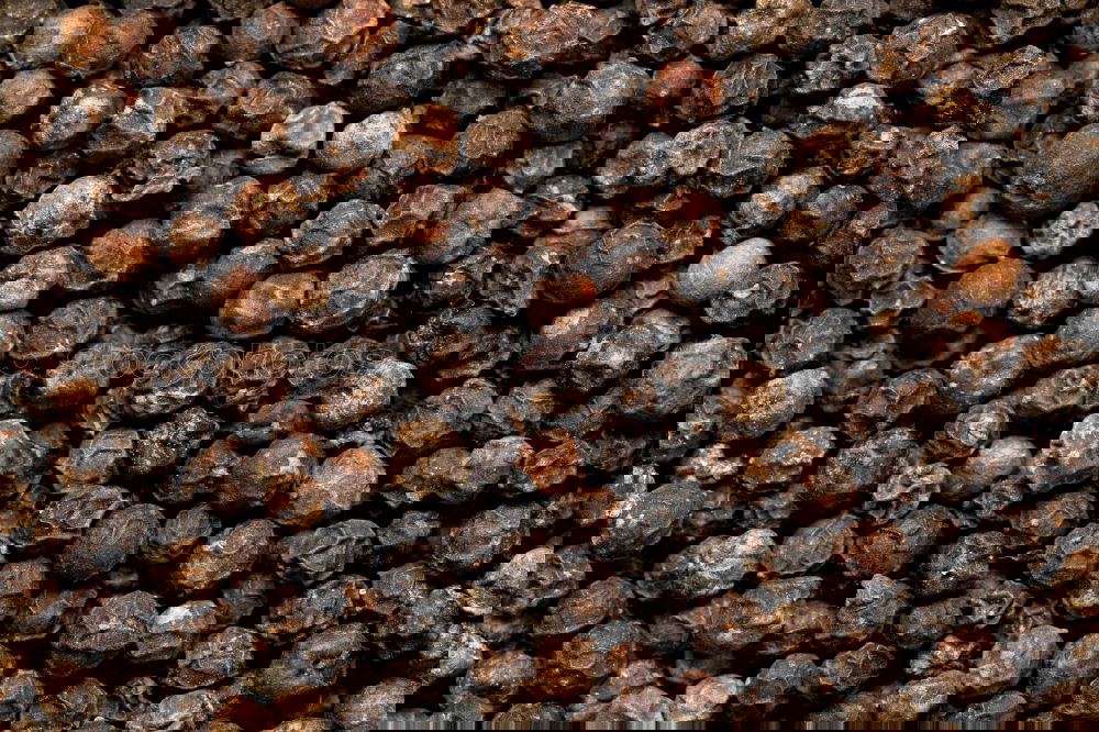 Image, Stock Photo Macro shot Black peppercorns on a wooden spoon