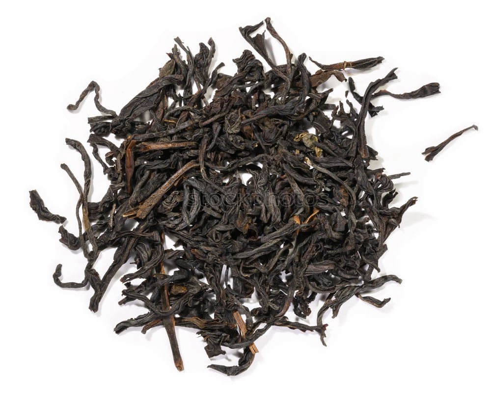 Similar – teatime Dried Dry Blossom