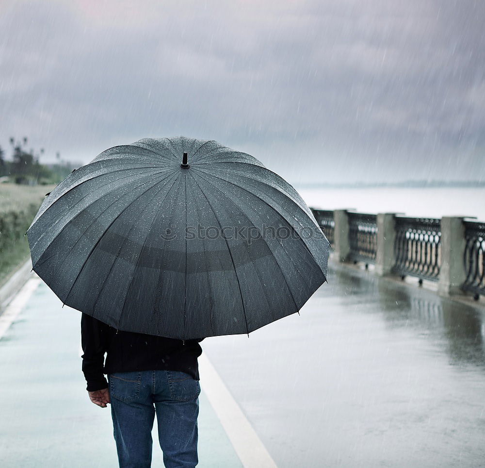 Similar – Image, Stock Photo umbrella. Air Water