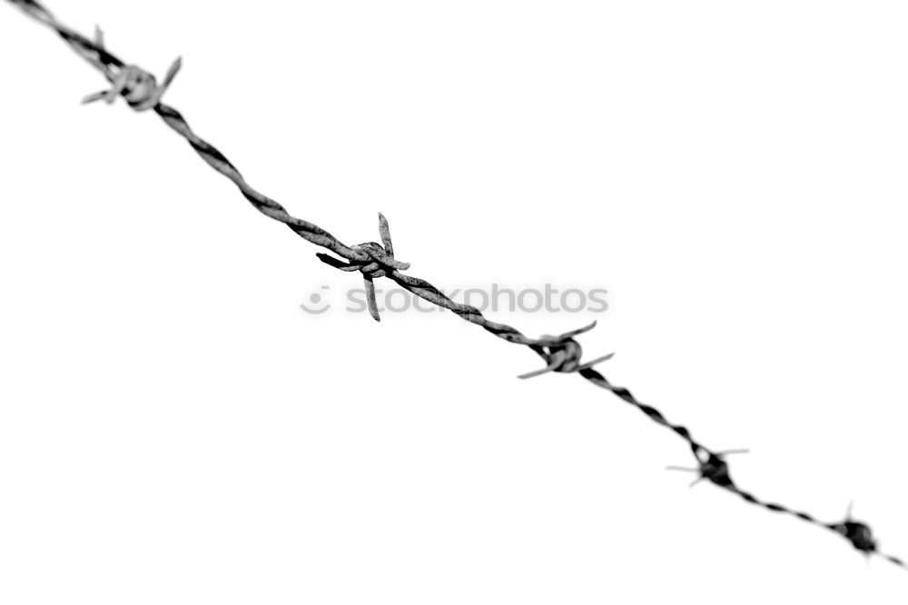 Similar – barbed wire Barbed wire