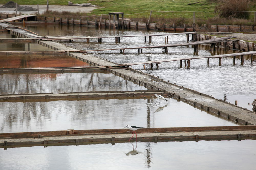 Similar – Image, Stock Photo canal Environment Nature