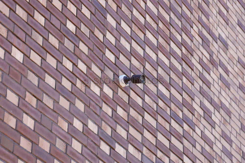 Similar – Image, Stock Photo balcony occupants Balcony