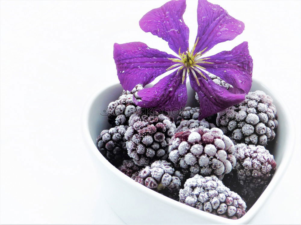 Similar – Image, Stock Photo Purple Berries purple