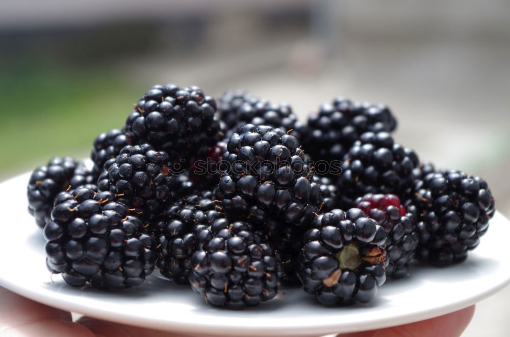 blackberries Food Fruit