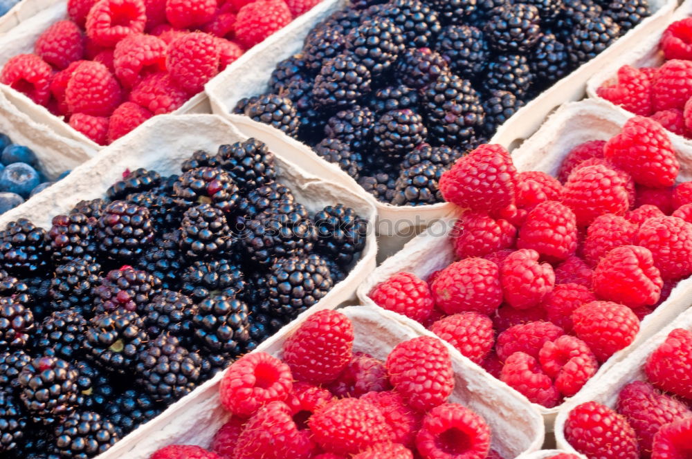 Similar – Image, Stock Photo berry collection Food