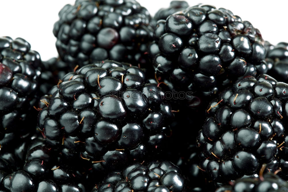 Similar – blackberries Food Fruit