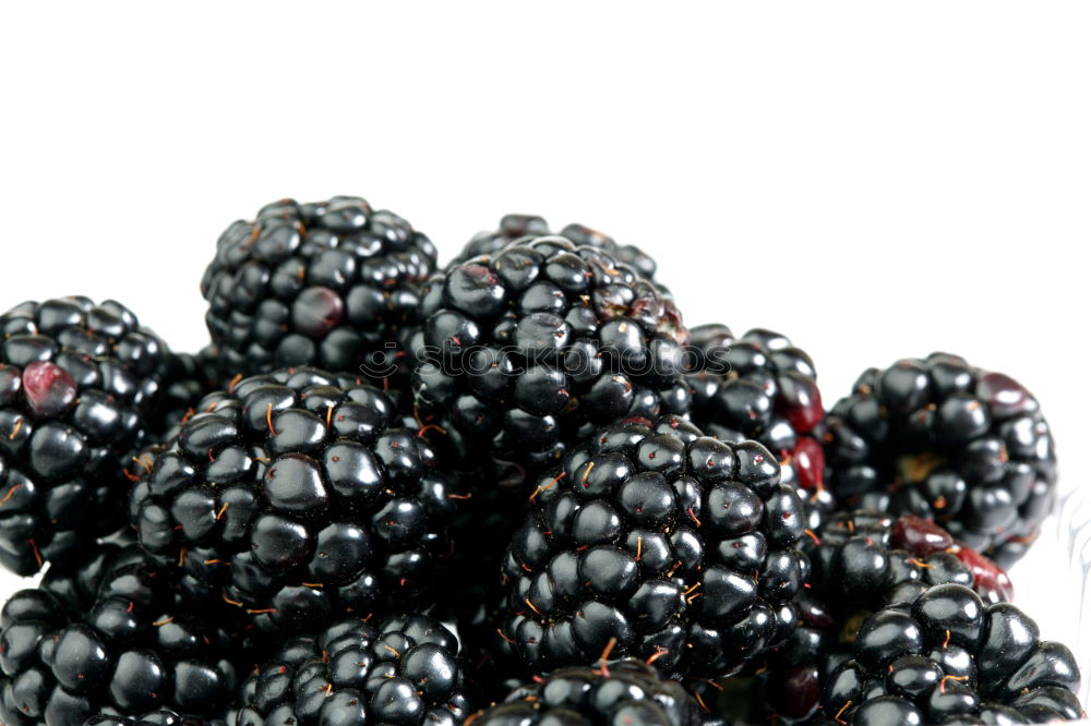 Similar – blackberries Food Fruit