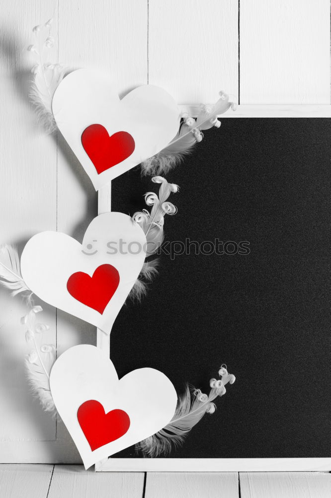 Similar – Image, Stock Photo red poppies and an old film camera
