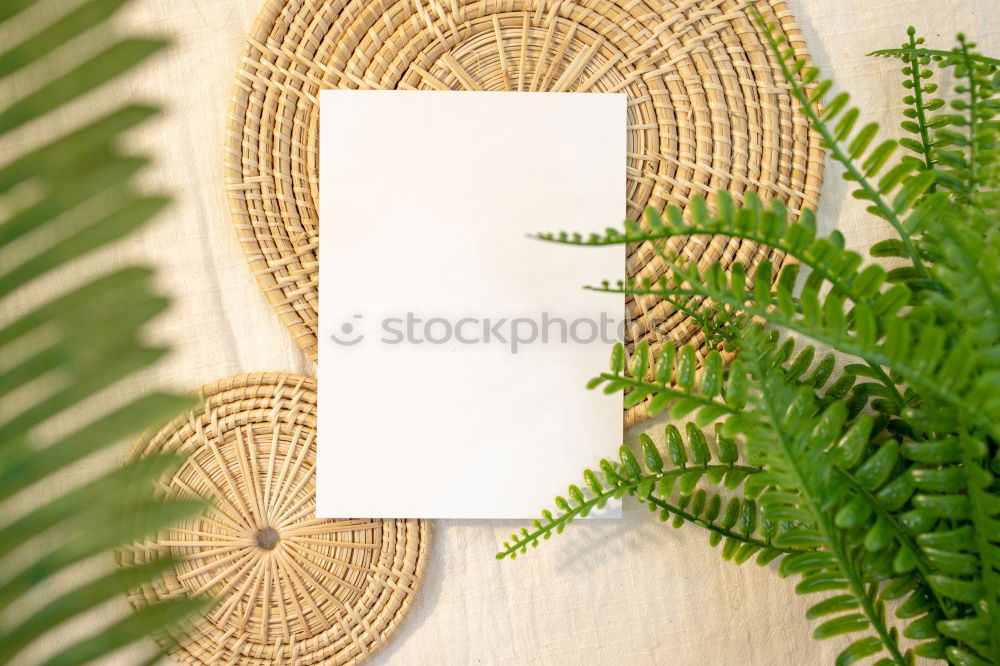 Similar – Gift with fir twig and blank white paper