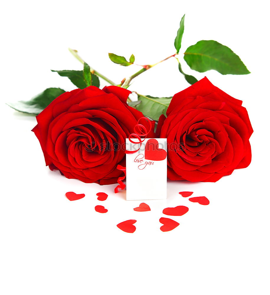 Similar – Image, Stock Photo Red rose bouquet with bow and heart