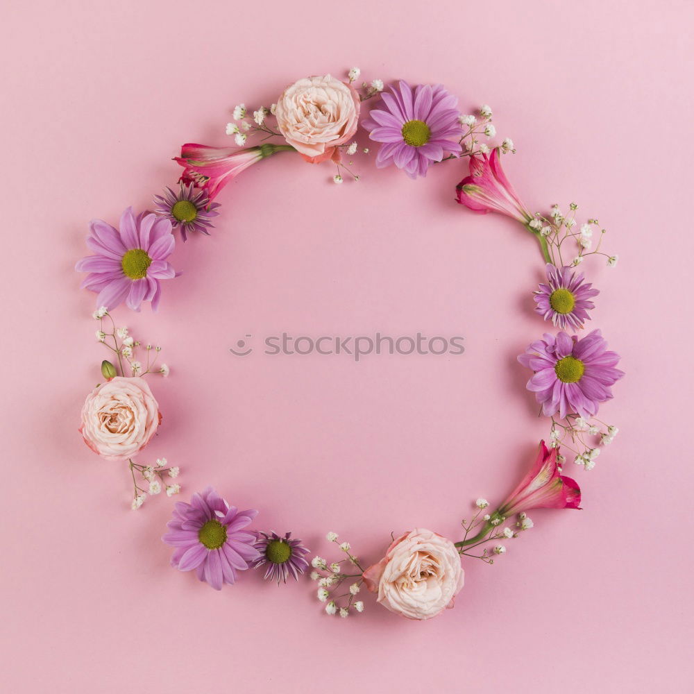 Similar – Image, Stock Photo Frame of pale pink flowers