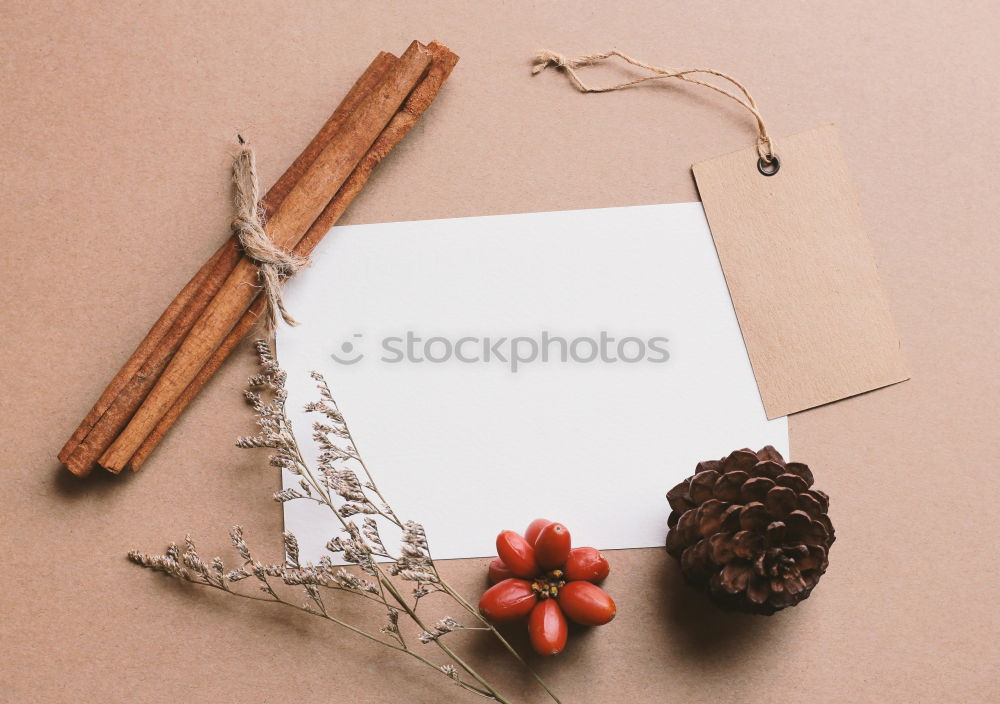 Similar – Image, Stock Photo Set of empty paper price tags, wooden background