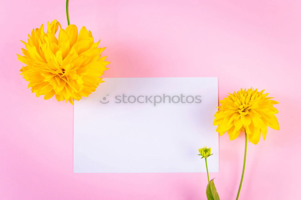 Similar – Foto Bild Notizbuch mit schönen Blumen