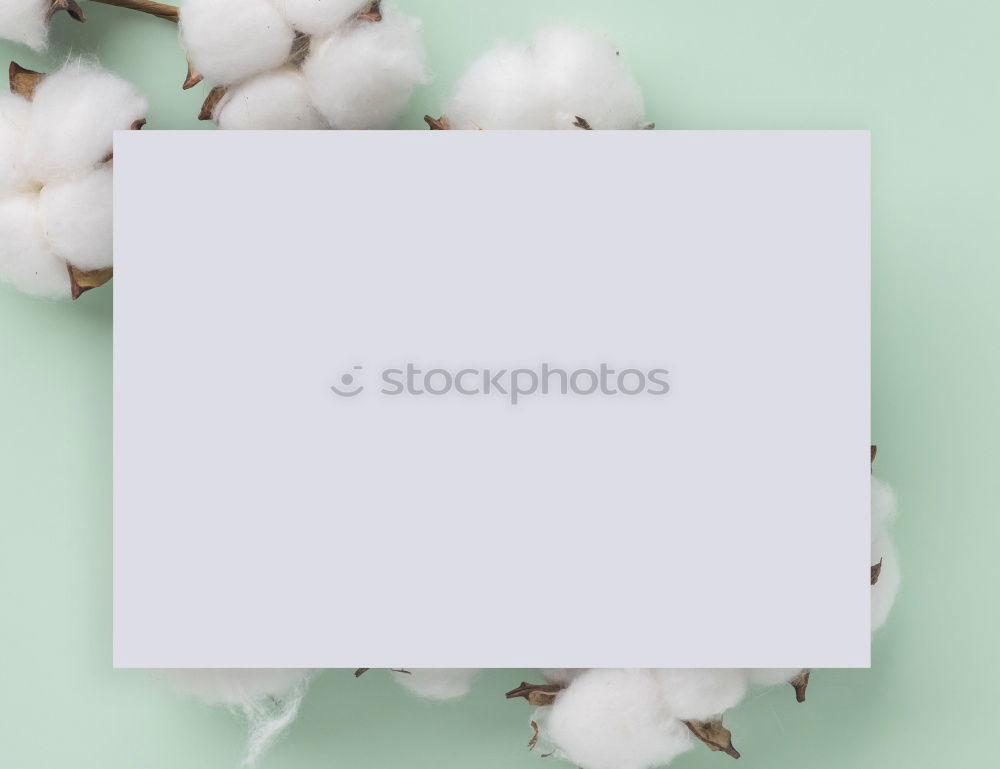 Similar – Image, Stock Photo Empty white greeting card on white flowers