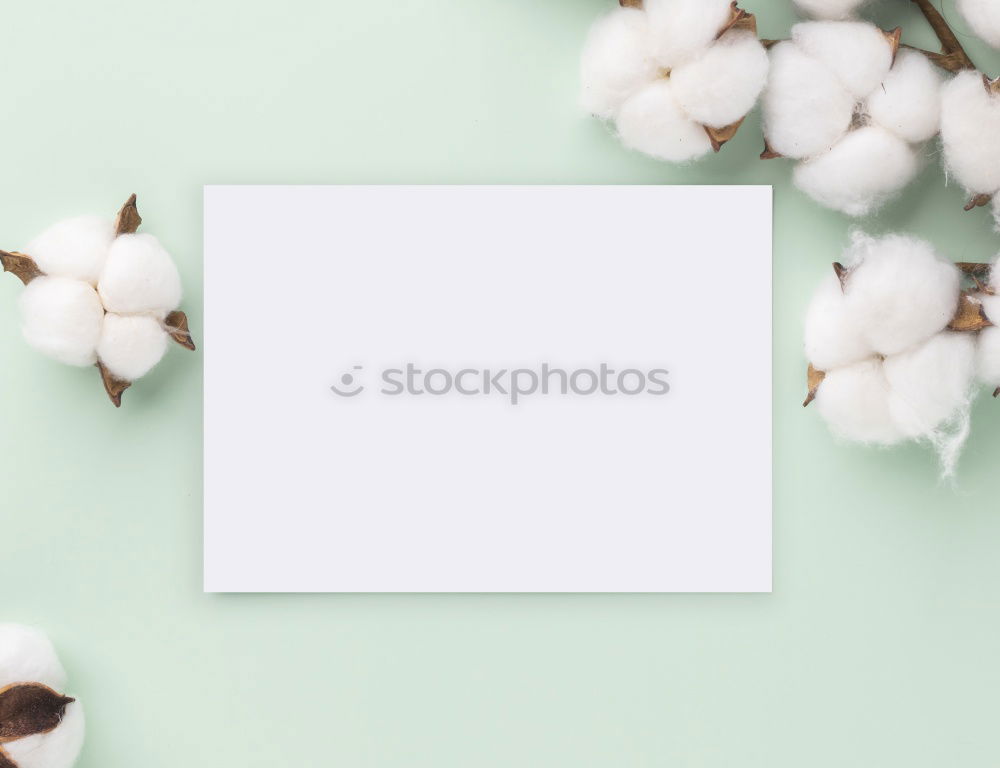 Similar – Image, Stock Photo Empty white greeting card on white flowers