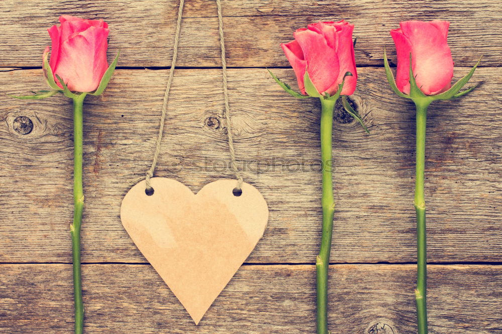 Similar – Image, Stock Photo Blue wooden table with flowers, ribbon and old scissors