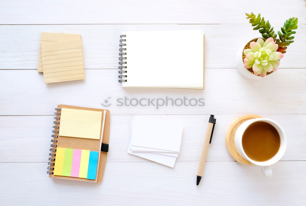 Similar – Image, Stock Photo Creative flat lay with fashion object on white background