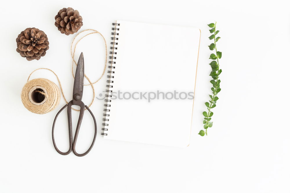 Similar – Image, Stock Photo Creative layout made of Christmas decorations.