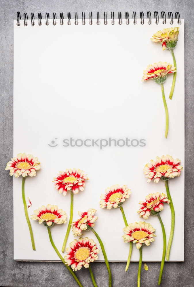 Foto Bild Notizbuch mit schönen Blumen