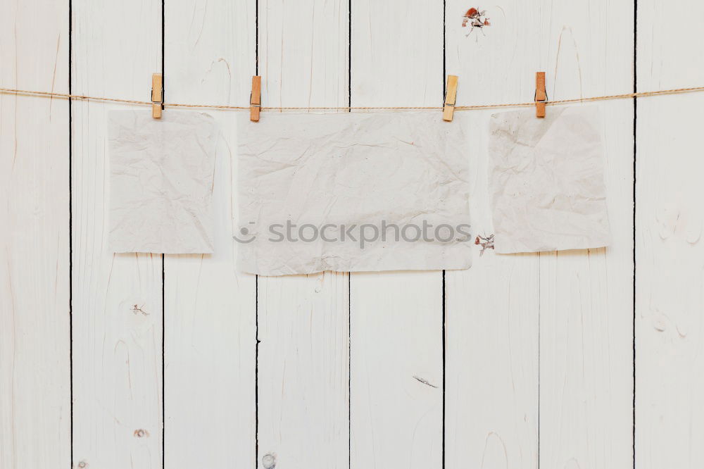 Similar – Image, Stock Photo shell Wall (barrier)