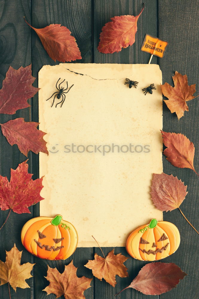 a paper picture with a rippled edge from the 1960s with a toddler in a pram lies on a wooden board next to leaves