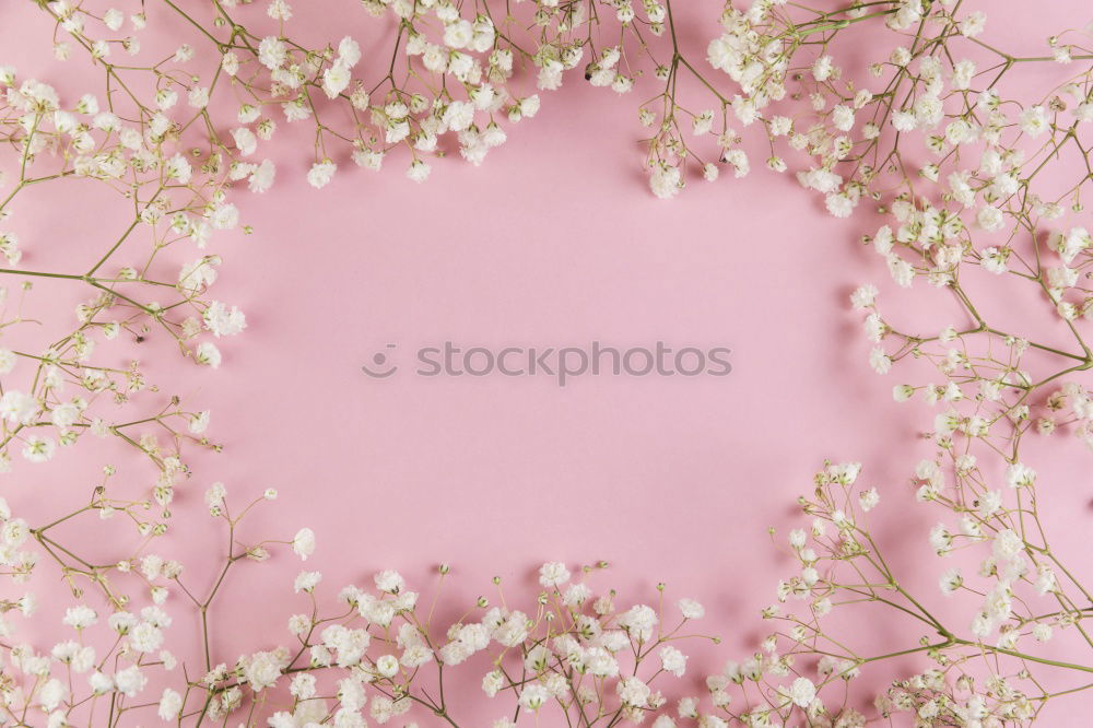 Similar – Image, Stock Photo Pink Snow Tree Fairy tale