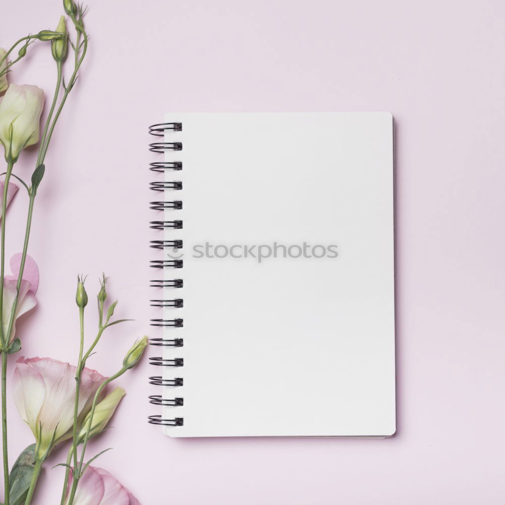 Similar – Image, Stock Photo White sheet of paper & the leaf of a monstera on pink background