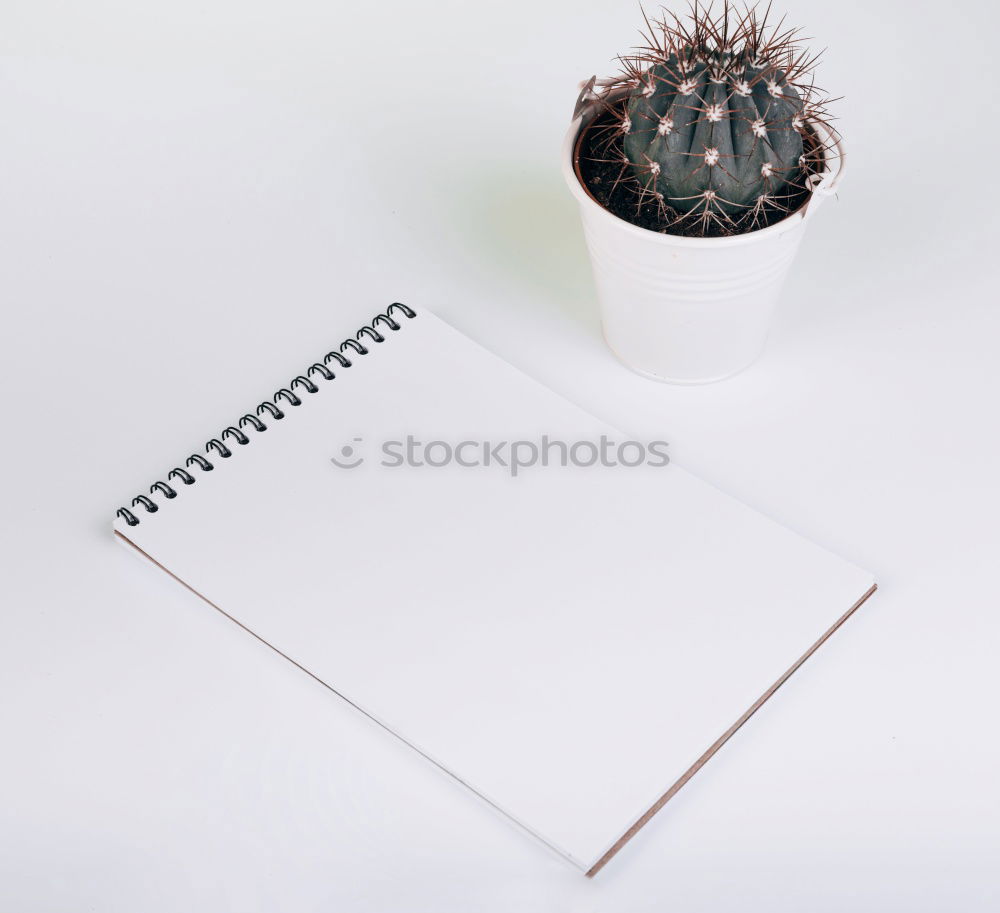 Similar – Image, Stock Photo White sheet of paper & the leaf of a monstera on pink background