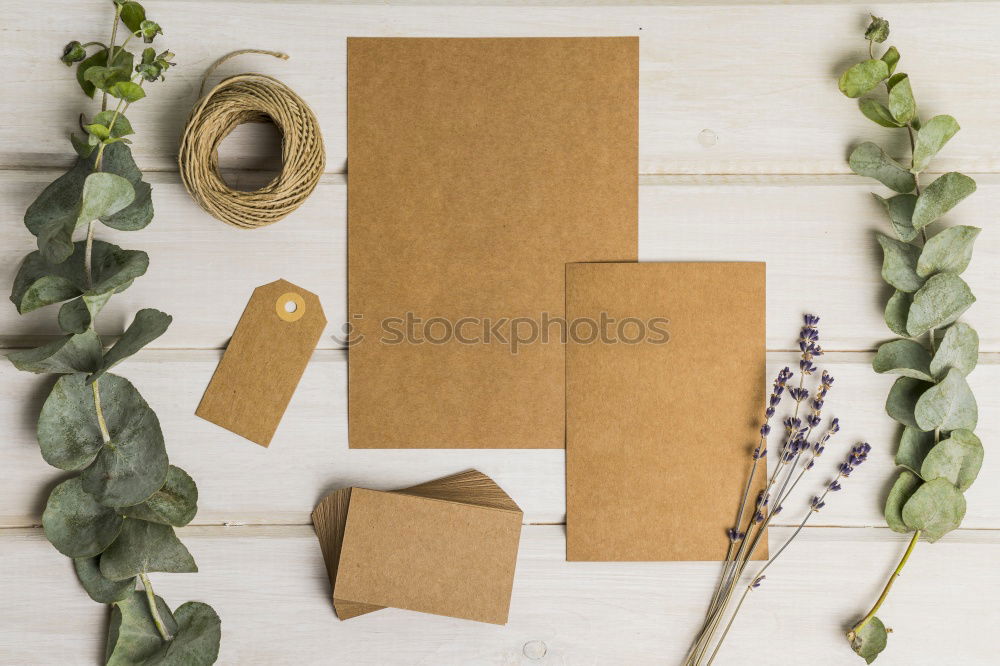 Image, Stock Photo rustic gardener set on white backround.