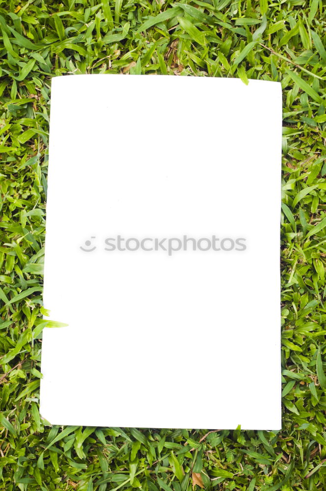 Similar – Image, Stock Photo the small green Concrete