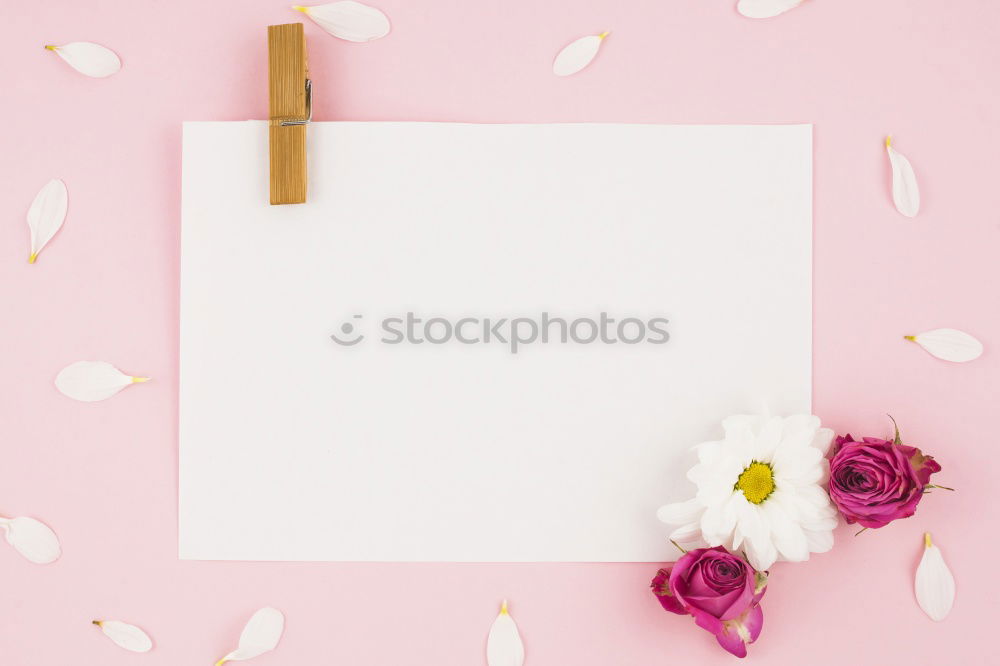 Similar – Image, Stock Photo Pink tulips, notebook or sketchbook and coloured markers