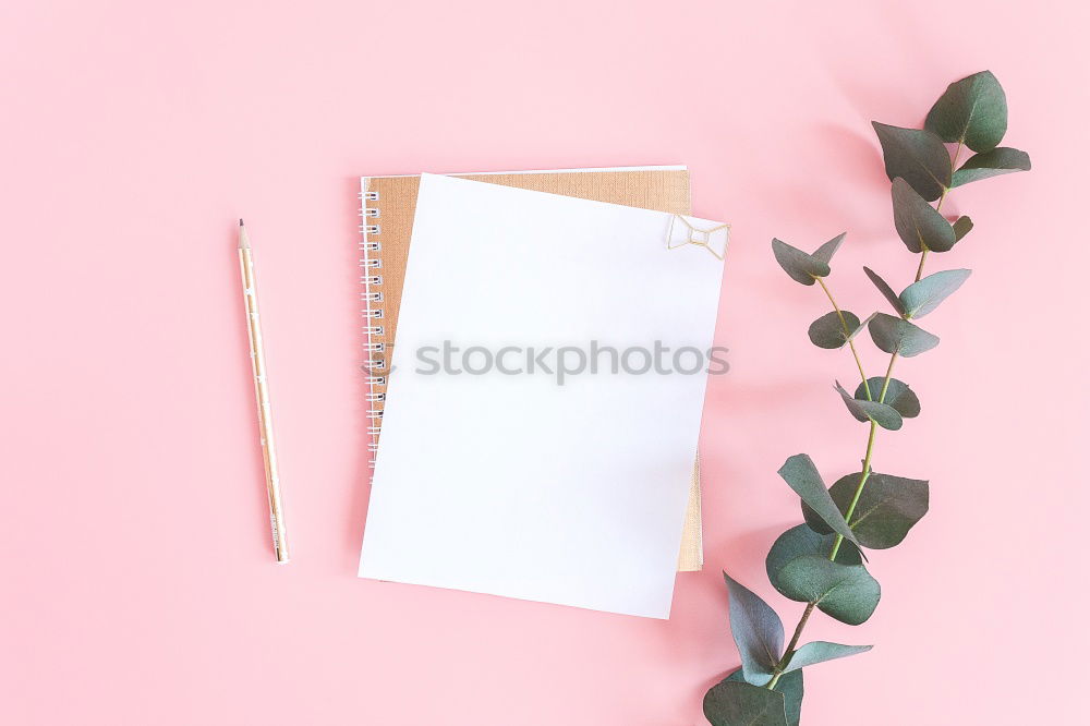 Similar – Image, Stock Photo Paper & the leaf of a monstera on pink background