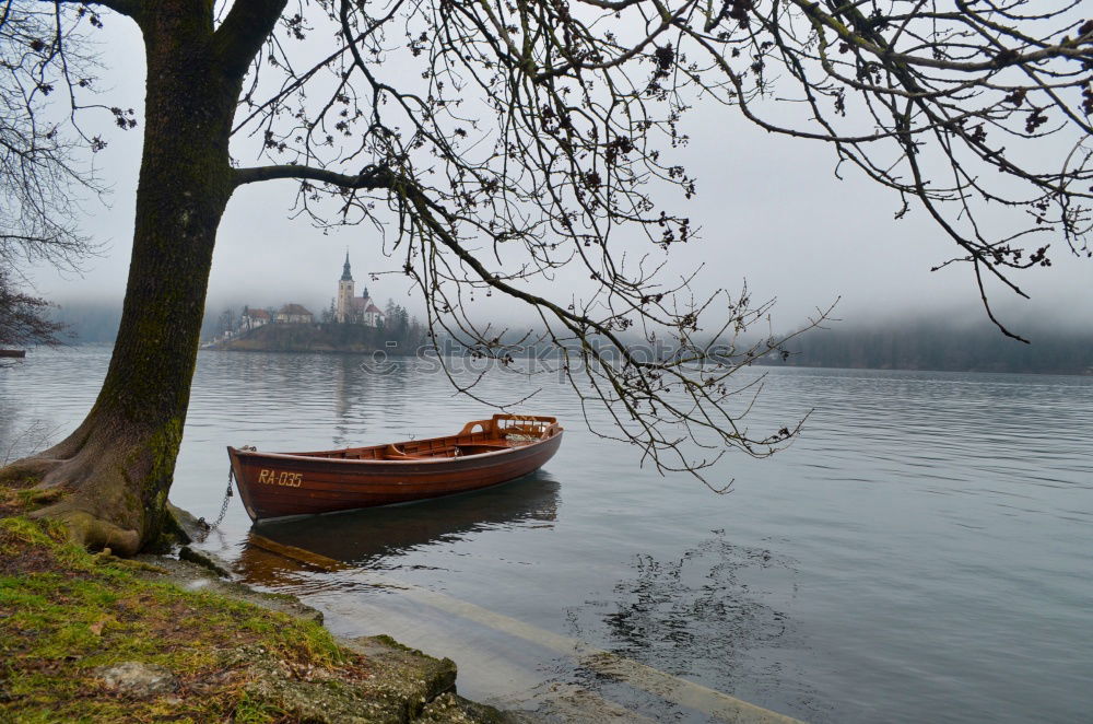 Image, Stock Photo fishing port Water Autumn