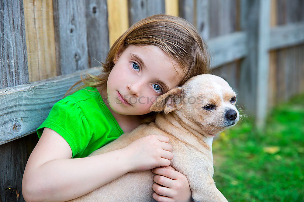 Similar – Image, Stock Photo Boston Terrier and boy