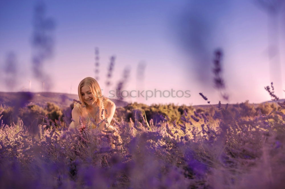 Similar – LAVENDER GIRL Happy