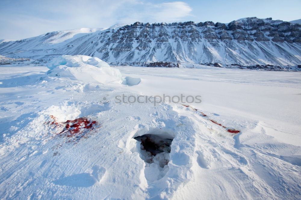 Similar – Foto Bild EIS FISCHEN BAIKAL Angeln