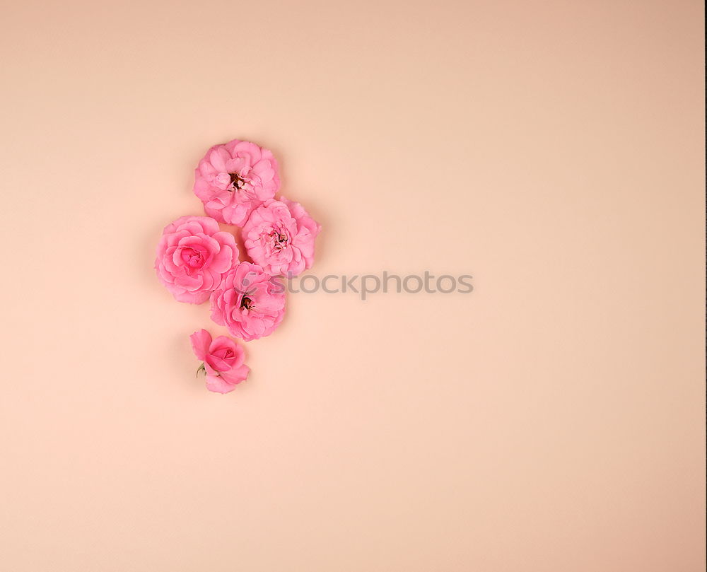 Similar – Image, Stock Photo Eye Shadow Shopping