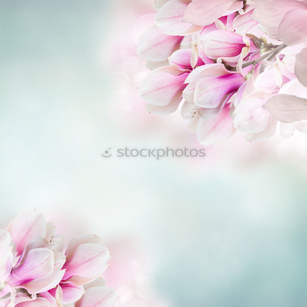 Similar – Image, Stock Photo not perfect. Nature Plant