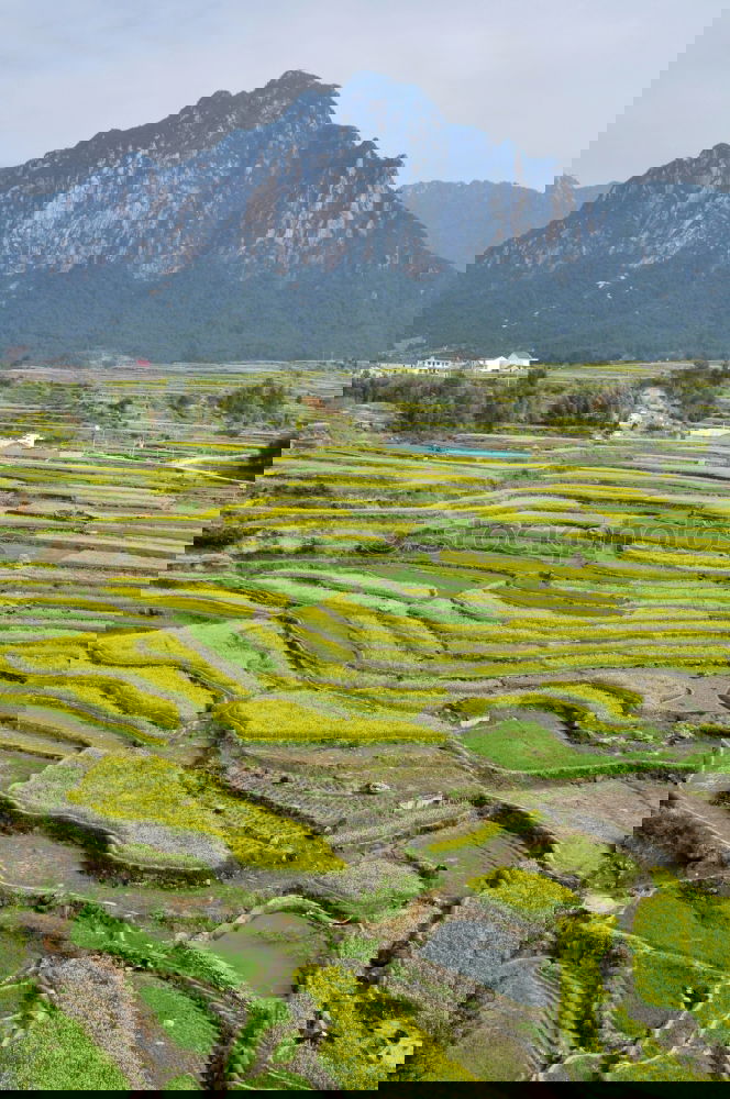 Similar – Foto Bild Landschaft der Rapsfelder und Berge im Frühjahr