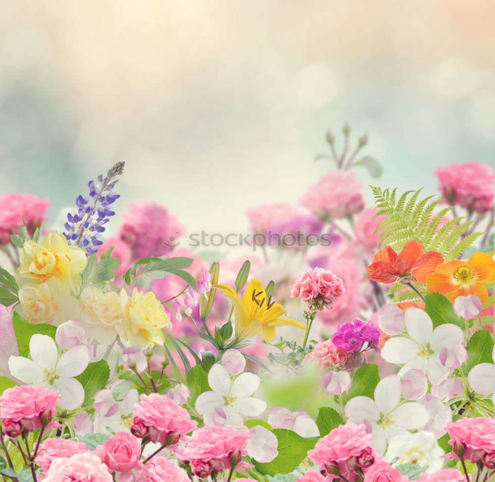 Similar – Image, Stock Photo Watering can with plants and flowers on a garden table